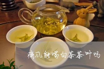 痛风能喝白茶茶叶吗/2023072281704