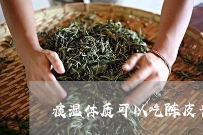 痰湿体质可以吃陈皮普洱茶/2023112569393