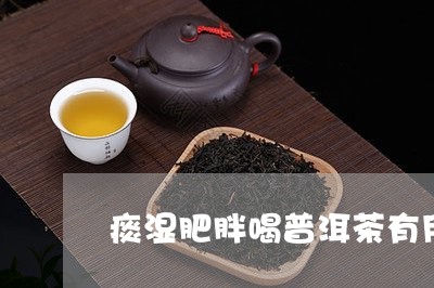 痰湿肥胖喝普洱茶有用吗/2023050501816