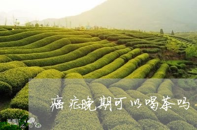 癌症晚期可以喝茶吗/2023042103837