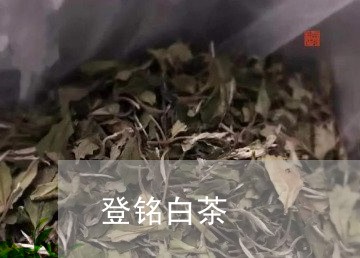 登铭白茶/2023042527270