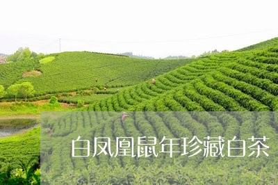 白凤凰鼠年珍藏白茶/2023072161703