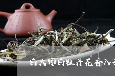 白大师白牡丹花香入茶骨/2023102822794