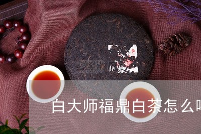 白大师福鼎白茶怎么喝/2023120870483