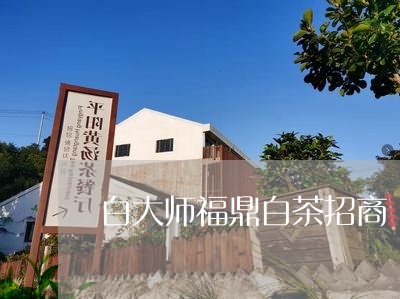 白大师福鼎白茶招商/2023072173149