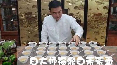 白大师福鼎白茶茶壶/2023120568592