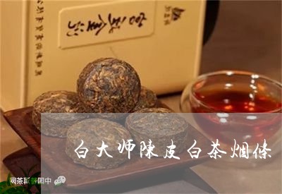 白大师陈皮白茶烟条/2023063008451