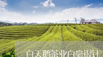 白天鹅茶业白毫银针/2023091412928