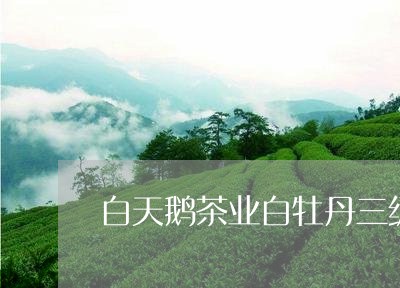 白天鹅茶业白牡丹三级/2023120960682