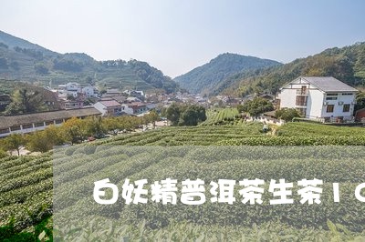 白妖精普洱茶生茶100克/2023110280814