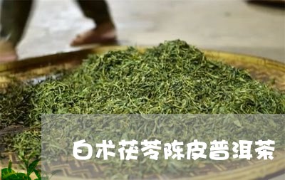 白术茯苓陈皮普洱茶/2023091474958