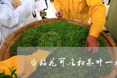 白梅花可以和茶叶一起泡水吗/2023052637371