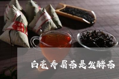 白毫寿眉茶是发酵茶/2023120444737