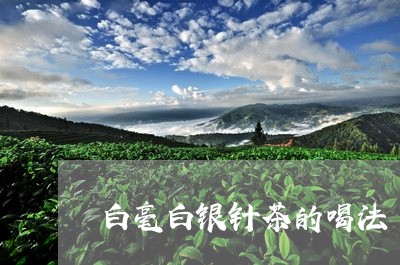 白毫白银针茶的喝法/2023091461704