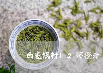 白毫银针12杯橙汁/2023120645947