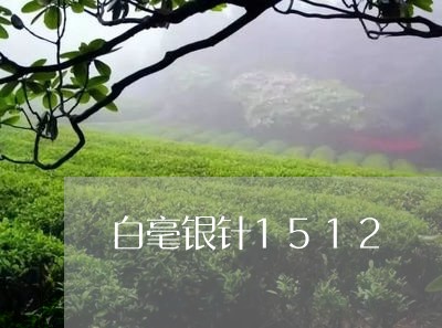 白毫银针1512/2023090720392