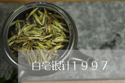 白毫银针1997/2023090749470