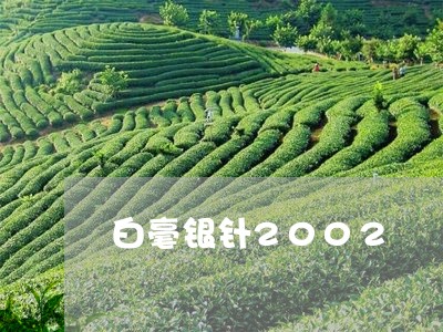 白毫银针2002/2023090728360