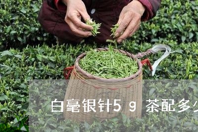 白毫银针5g茶配多少水/2023092447169