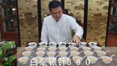 白毫银针880/2023112493126