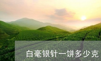 白毫银针一饼多少克/2023120628383