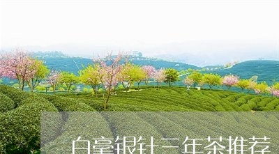 白毫银针三年茶推荐/2023120620380