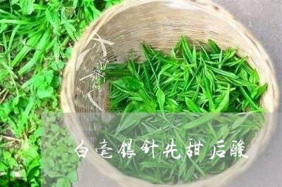 白毫银针先甜后酸/2023090691485