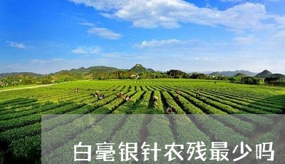 白毫银针农残最少吗/2023120505140