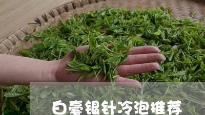 白毫银针冷泡推荐/2023090760693