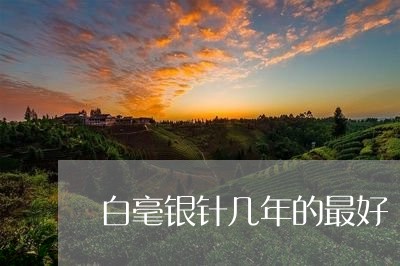 白毫银针几年的最好/2023120470736