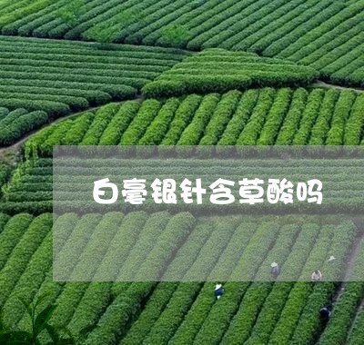 白毫银针含草酸吗/2023090739270