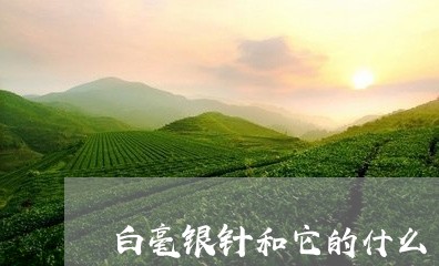 白毫银针和它的什么/2023120414959