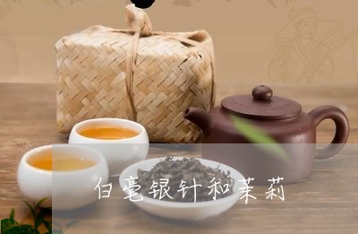 白毫银针和茉莉/2023112394859