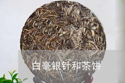 白毫银针和茶饼/2023060368370