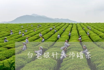 白毫银针大师罐茶/2023090794927