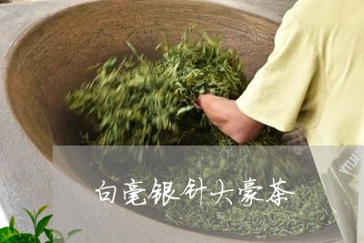 白毫银针大豪茶/2023112485237