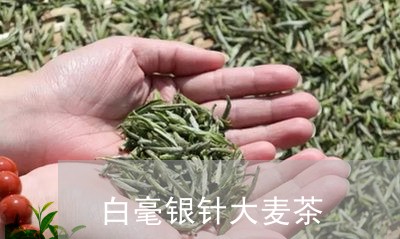 白毫银针大麦茶/2023112328270