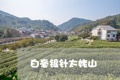 白毫银针太姥山/2023112404748