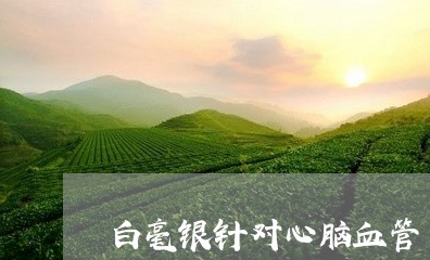 白毫银针对心脑血管/2023120621572