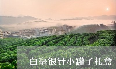 白毫银针小罐子礼盒/2023120524937