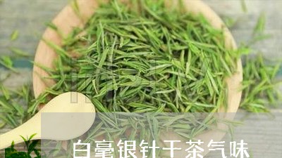 白毫银针干茶气味/2023090735157