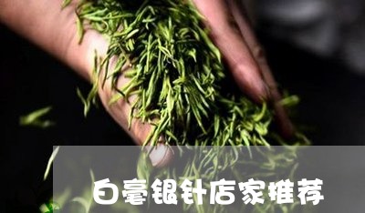 白毫银针店家推荐/2023090726171