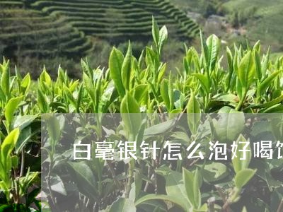 白毫银针怎么泡好喝饮料/2023092416170