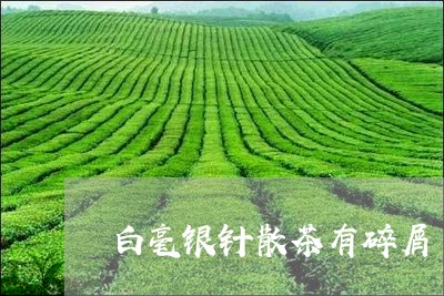 白毫银针散茶有碎屑/2023120696058