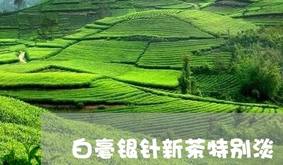 白毫银针新茶特别淡/2023120350835