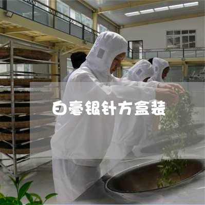 白毫银针方盒装/2023112484261