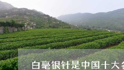 白毫银针是中国十大名茶吗/2023051137370