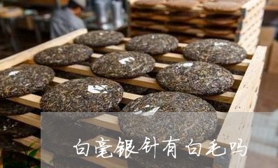 白毫银针有白毛吗/2023090700592