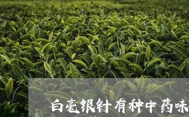 白毫银针有种中药味/2023120626370