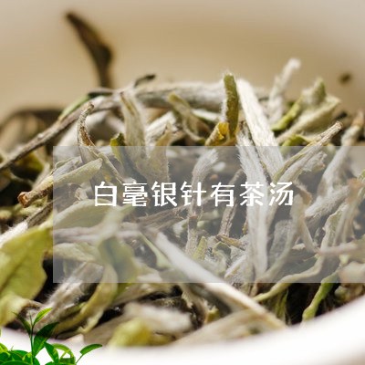 白毫银针有茶汤/2023112416959